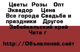 Цветы. Розы.  Опт.  Эквадор. › Цена ­ 50 - Все города Свадьба и праздники » Другое   . Забайкальский край,Чита г.